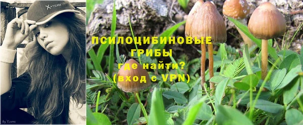 амфетамин Алексин